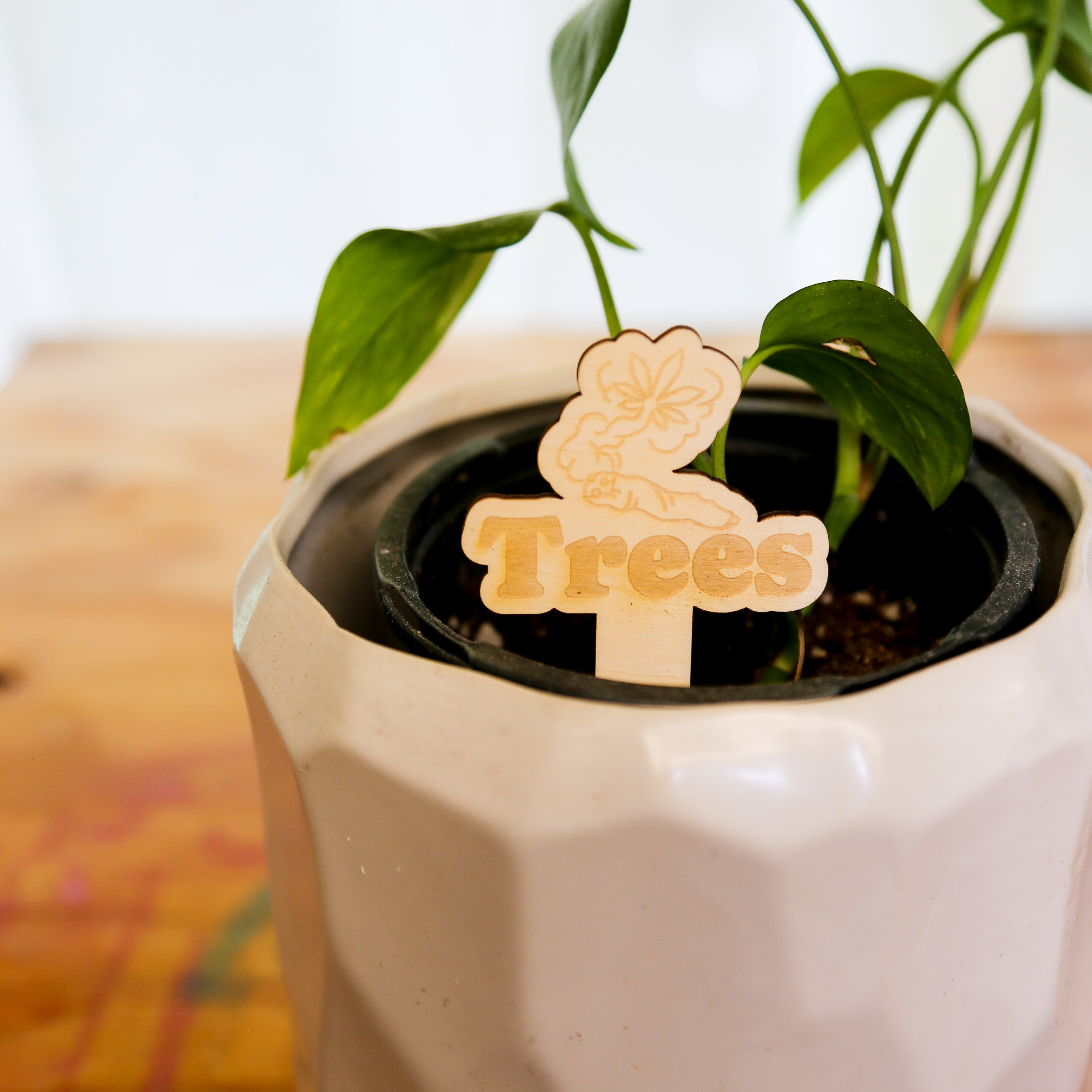 🪴 Plant Stakes – The "Herb" Garden Collection