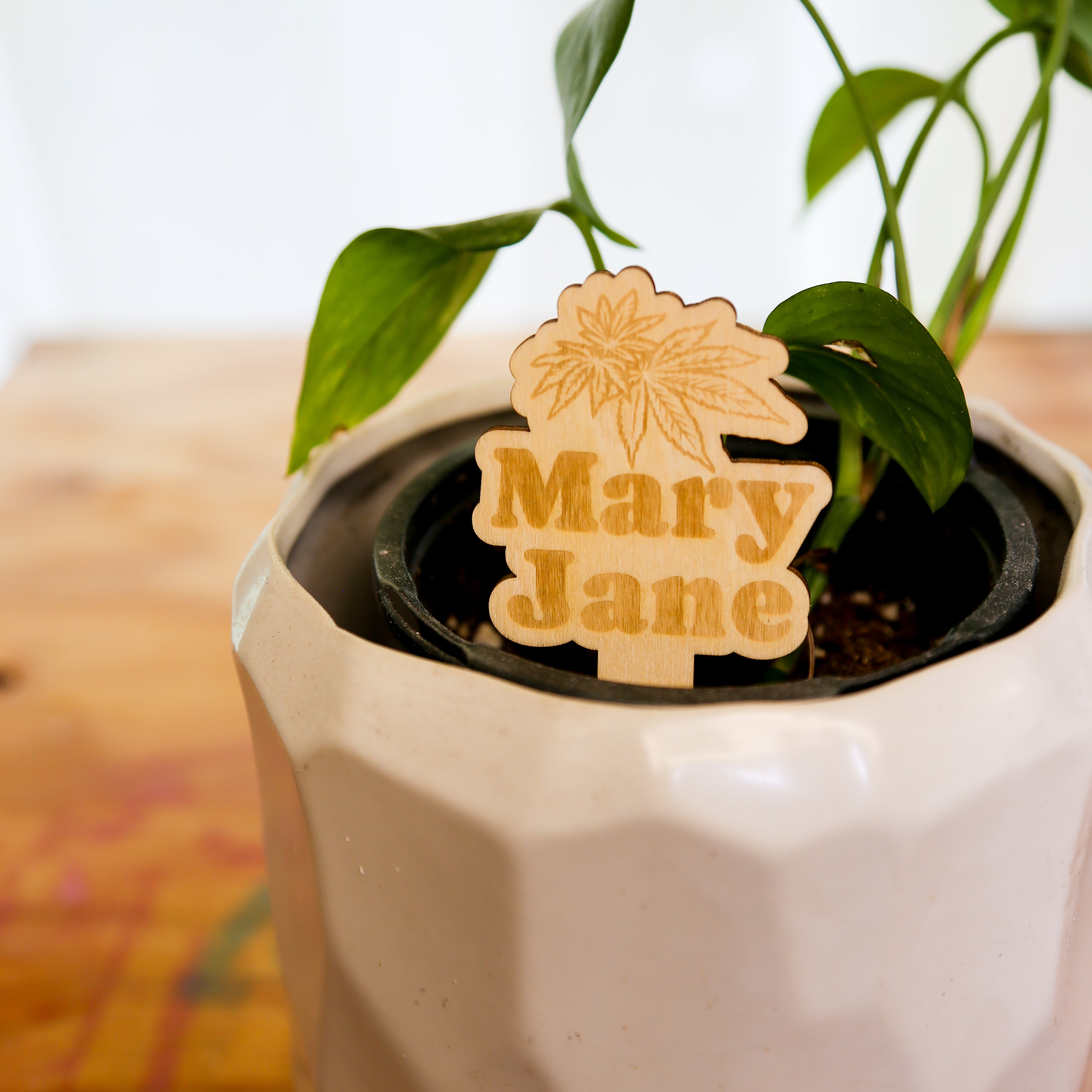 🪴 Plant Stakes – The "Herb" Garden Collection
