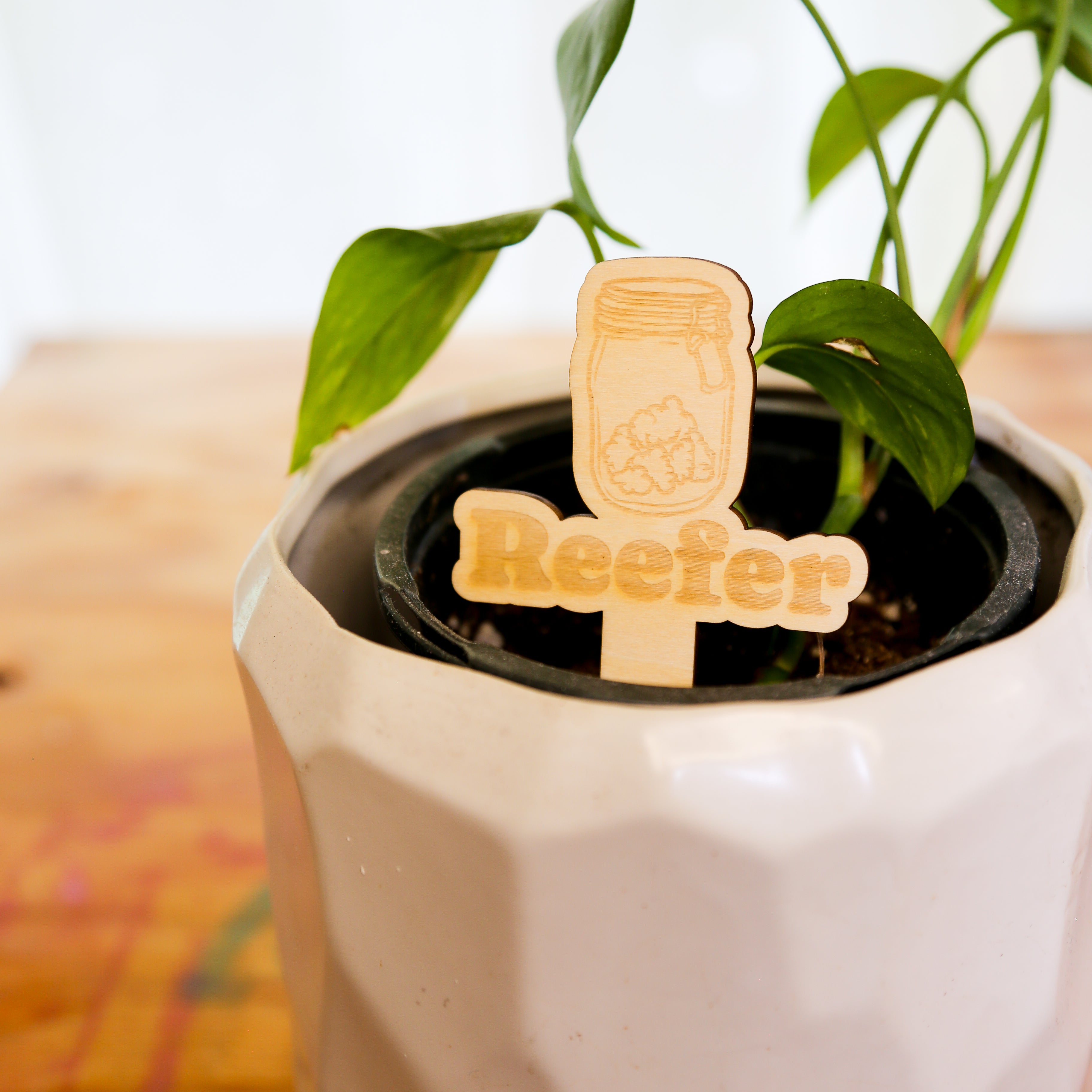 🪴 Plant Stakes – The "Herb" Garden Collection