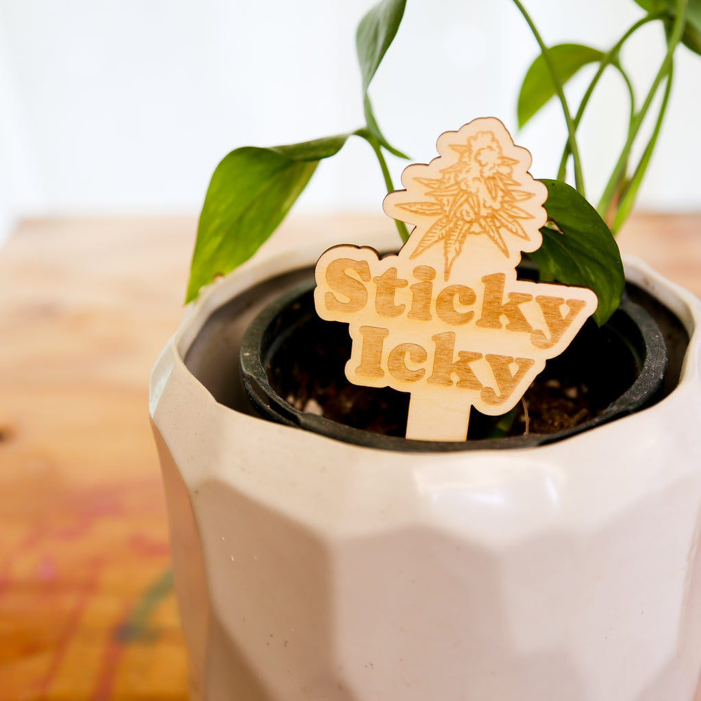 🪴 Plant Stakes – The "Herb" Garden Collection