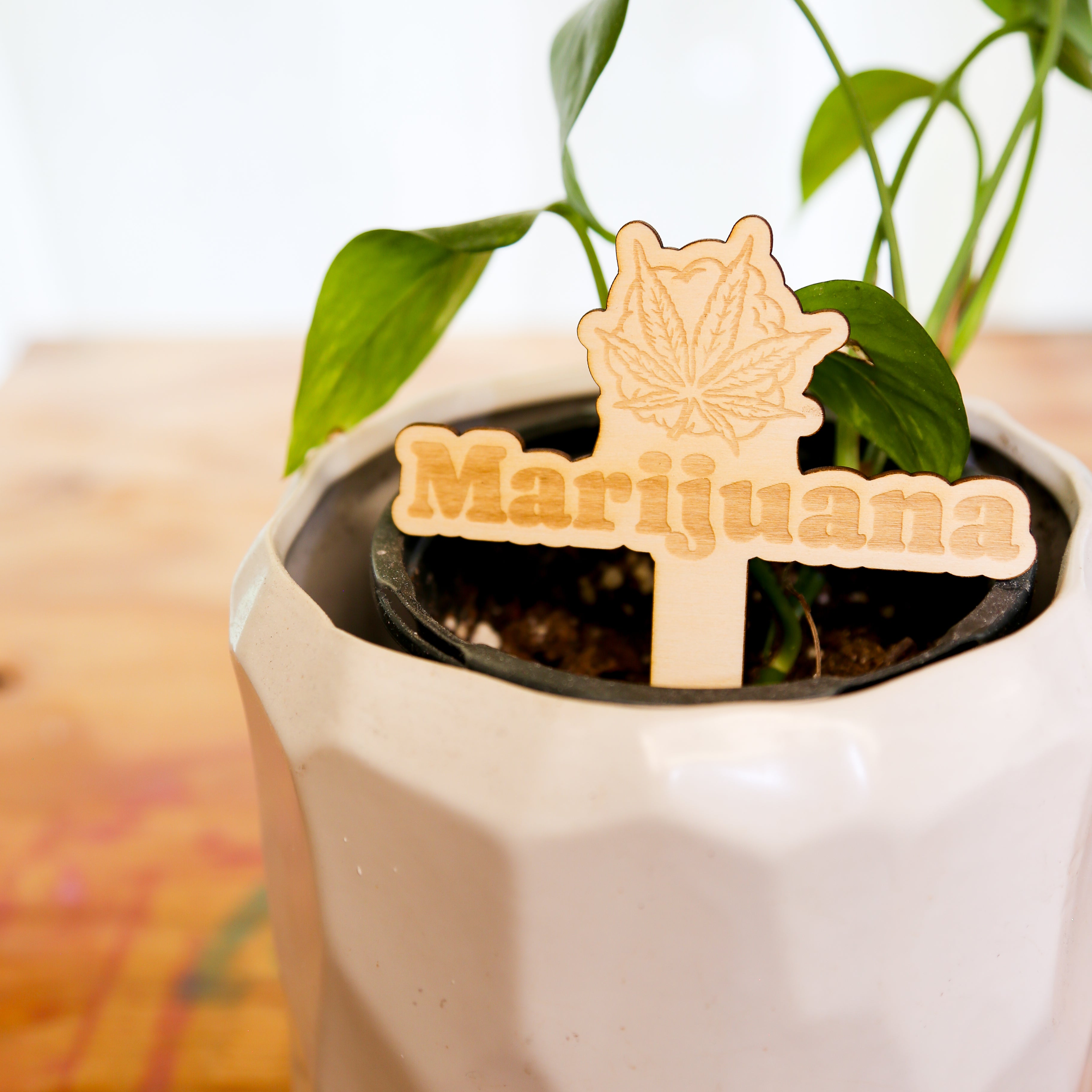 🪴 Plant Stakes – The "Herb" Garden Collection