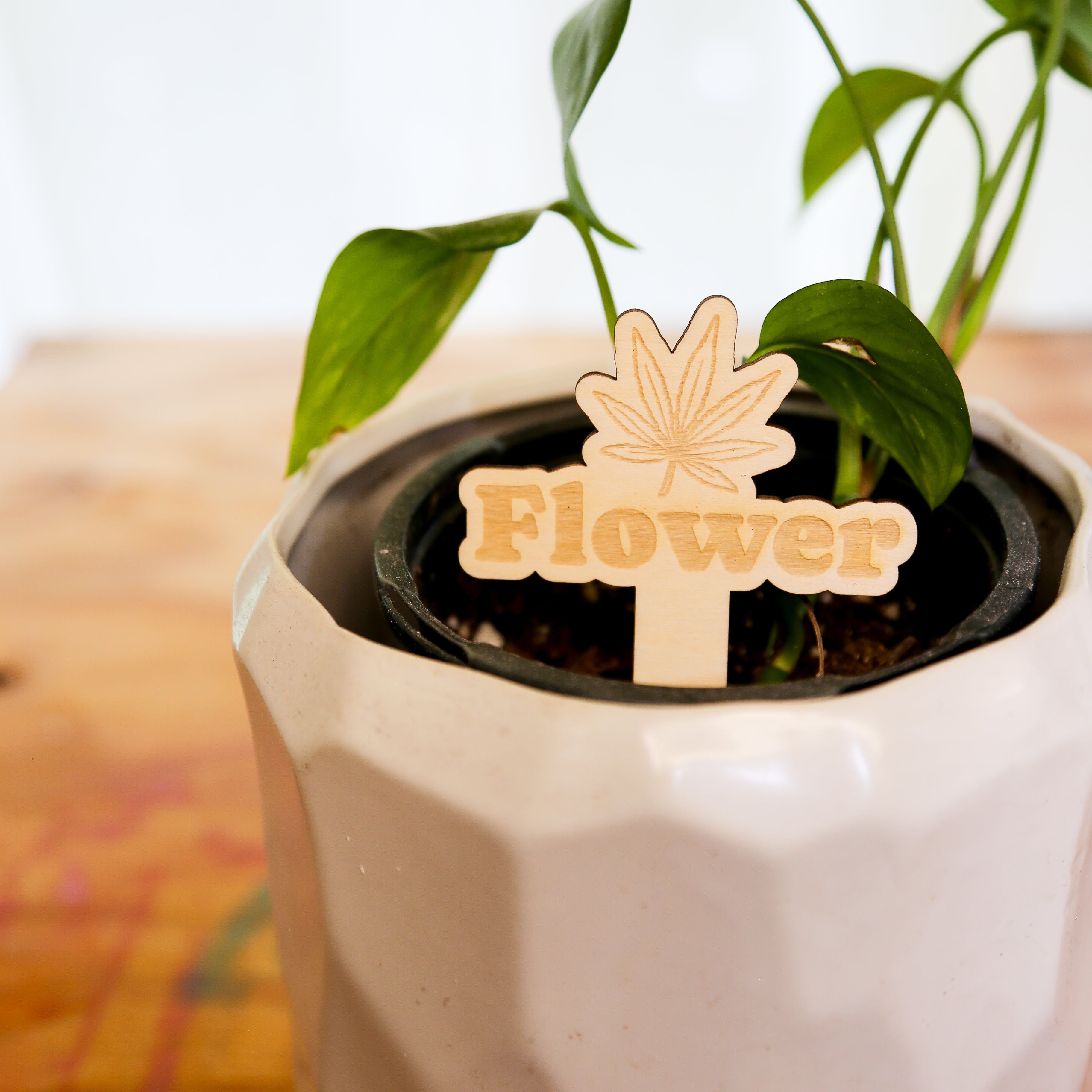 🪴 Plant Stakes – The "Herb" Garden Collection
