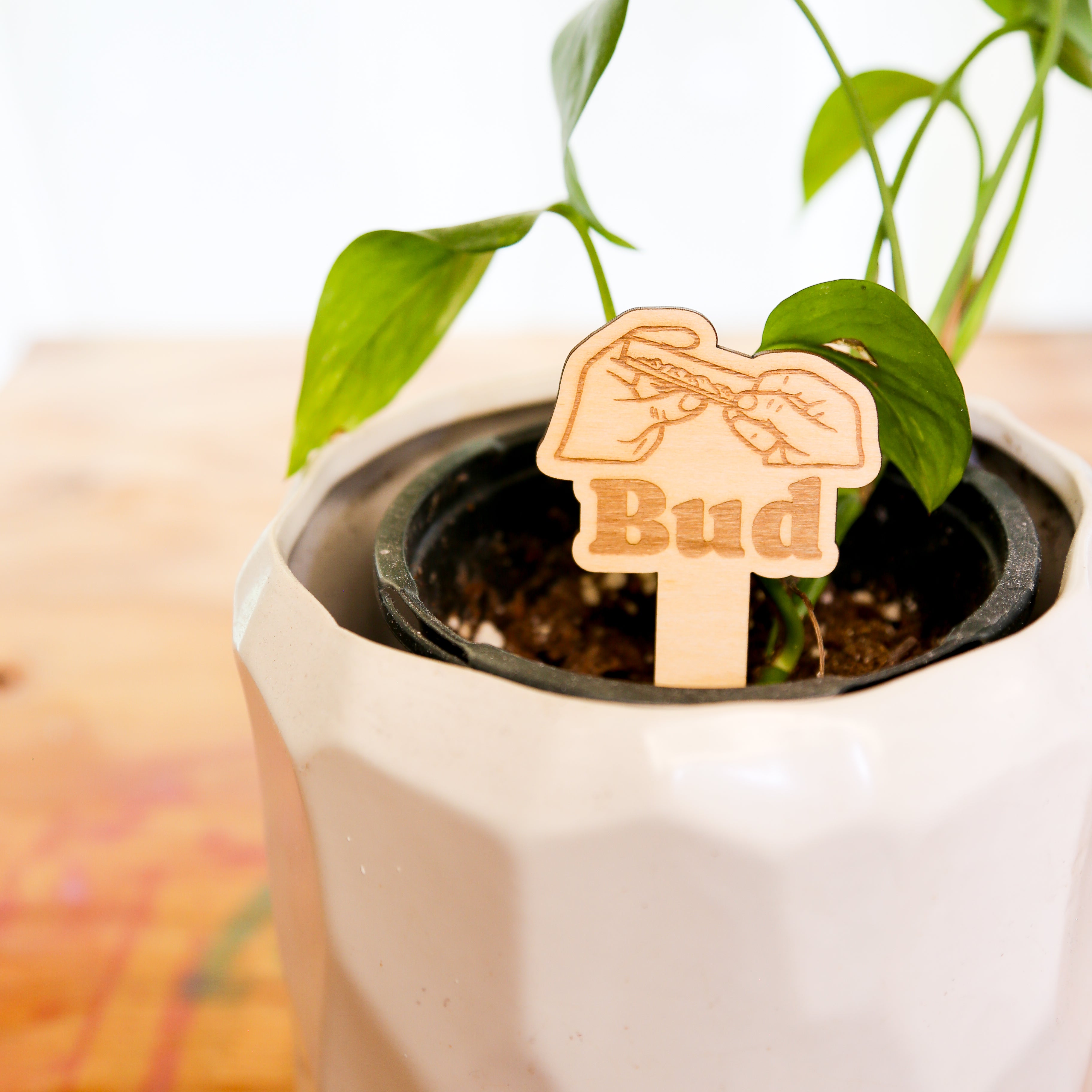 🪴 Plant Stakes – The "Herb" Garden Collection