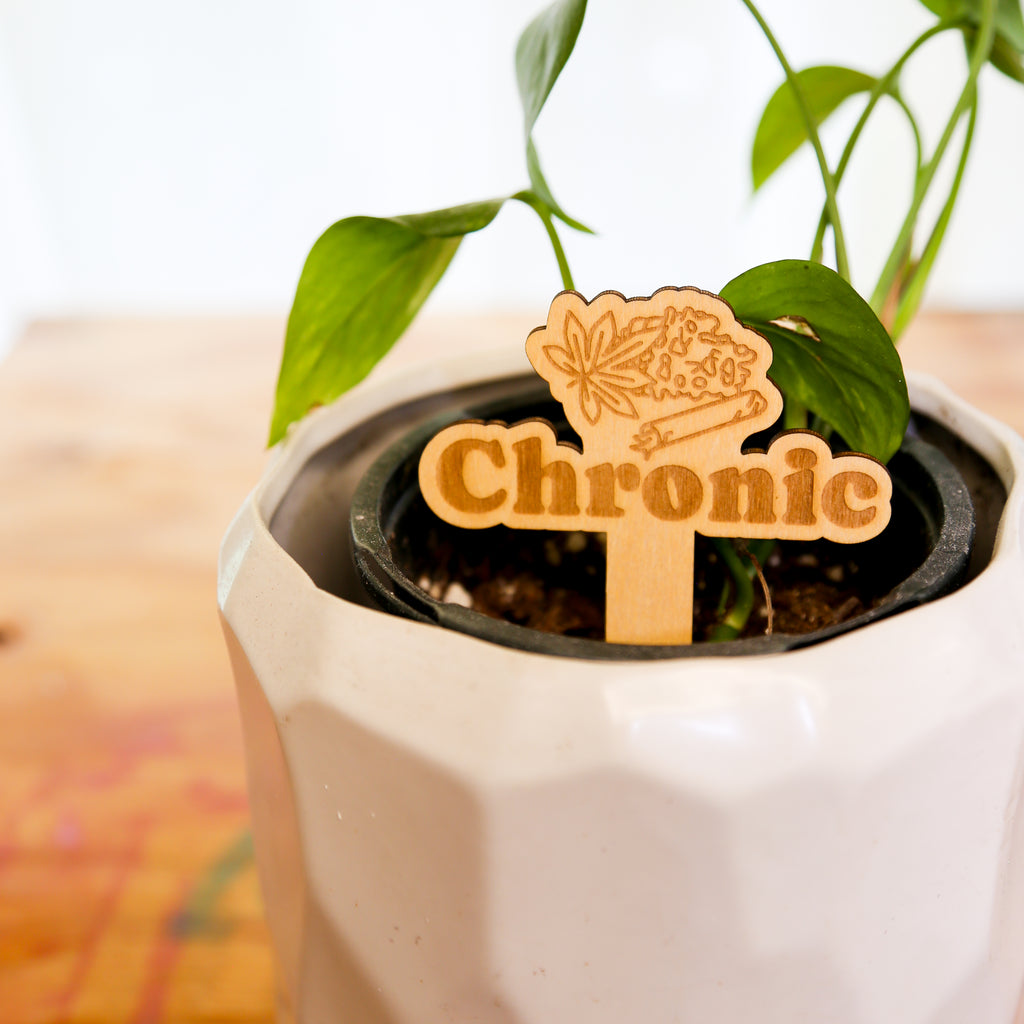 🪴 Plant Stakes – The "Herb" Garden Collection