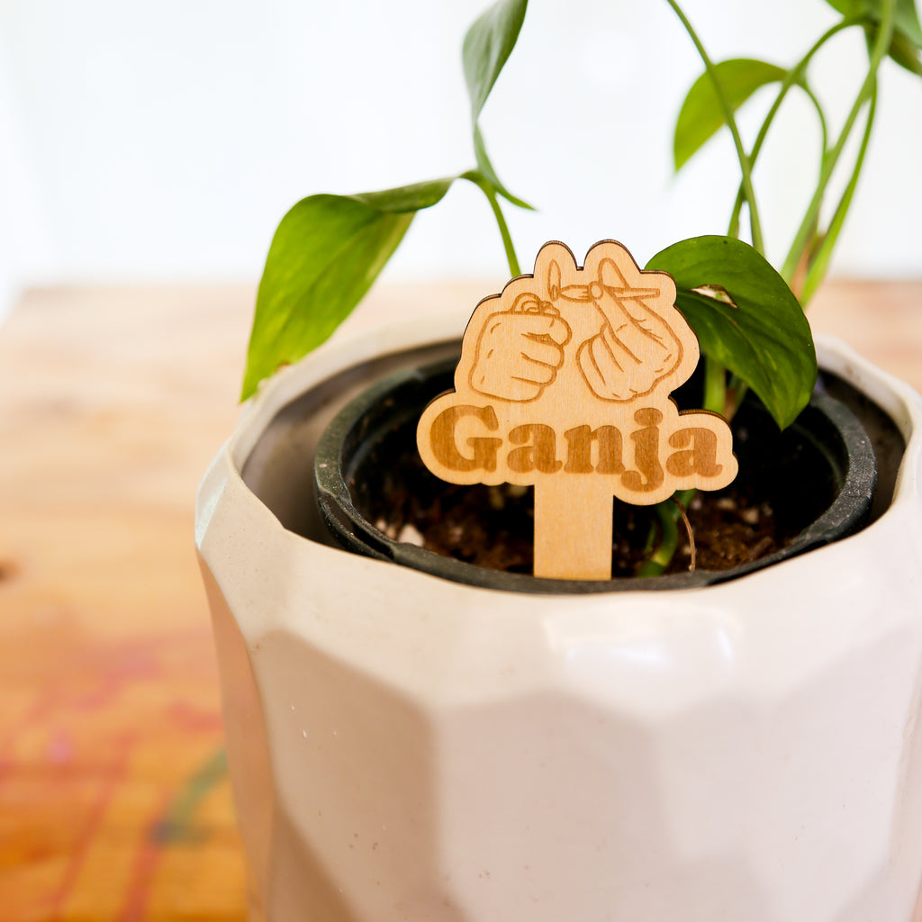 🪴 Plant Stakes – The "Herb" Garden Collection
