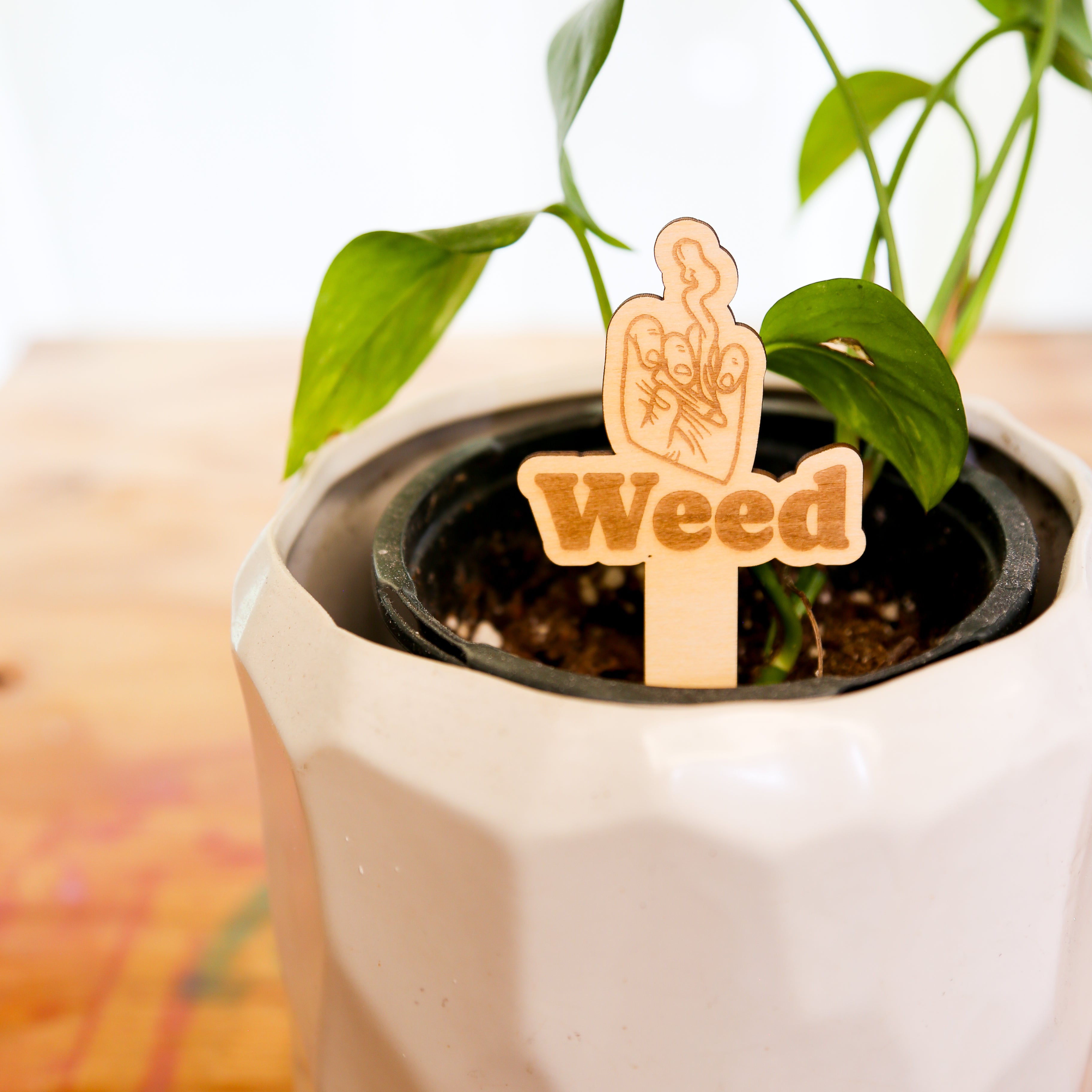 🪴 Plant Stakes – The "Herb" Garden Collection
